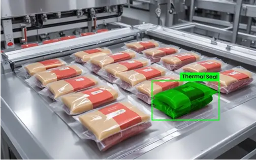 Thermal Seal Inspection