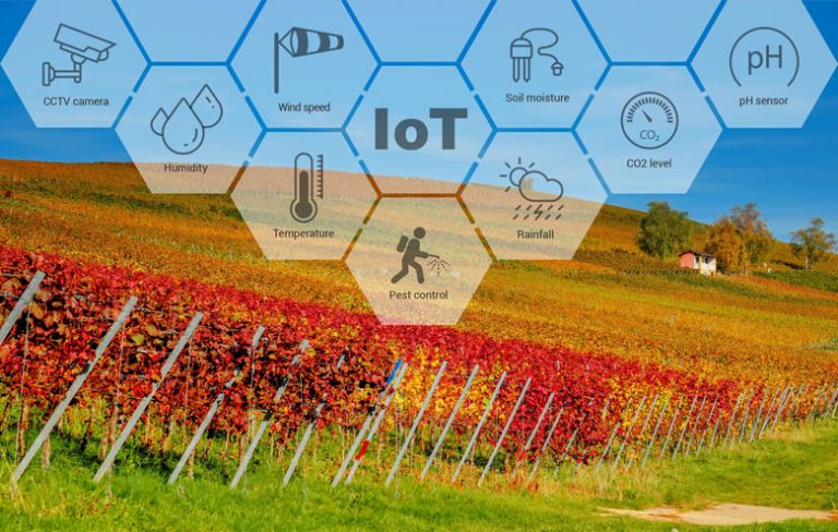 How Smart Vineyard Monitoring System Can Be Helpful For Wine Producers